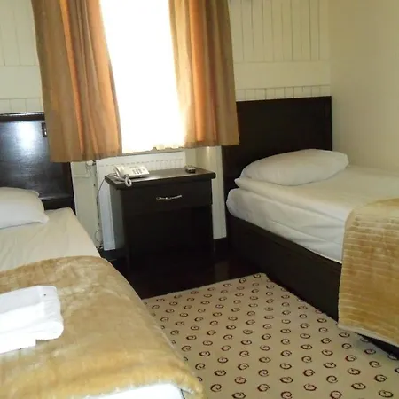 Buyuk Hotel 3*