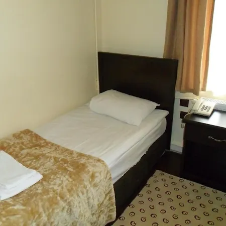 Hotel Buyuk 3*