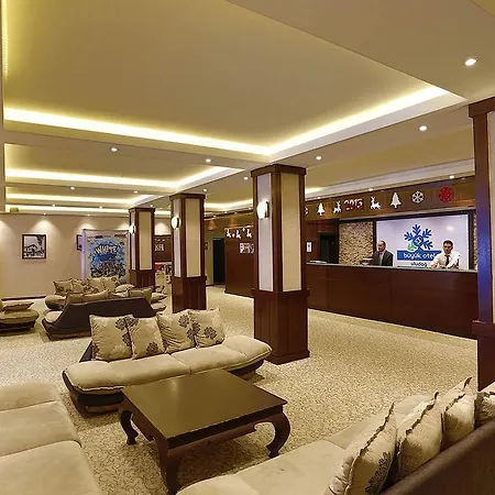 Hotel Buyuk 3*