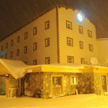 Hotel Buyuk