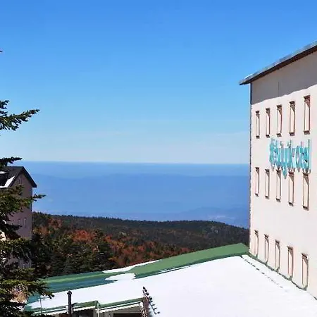 Buyuk Hotel Uludag (Bursa)
